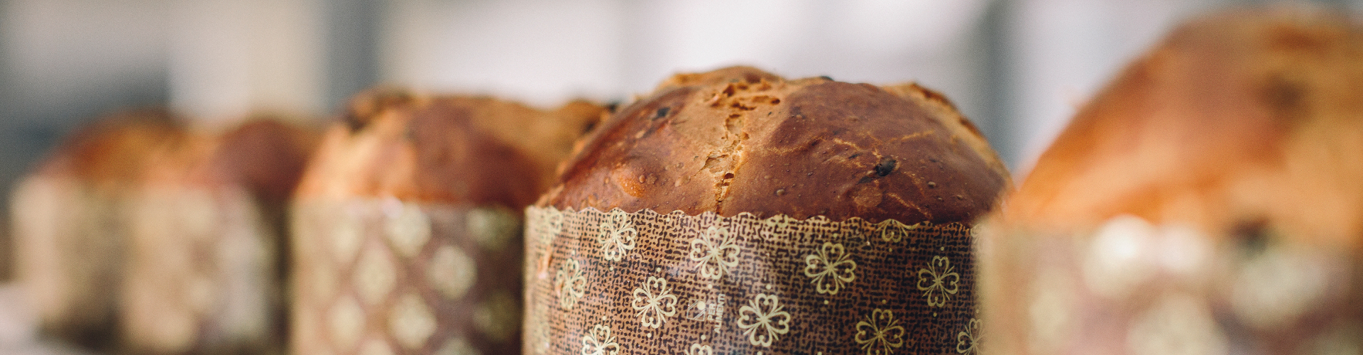 Yeast Fermentation In Bread How Does It Work Lesaffre